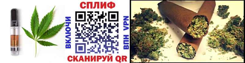 Купить  Избербаш  Canna-Cookies конопля 
