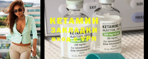 индика Вяземский