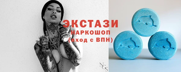 индика Вяземский