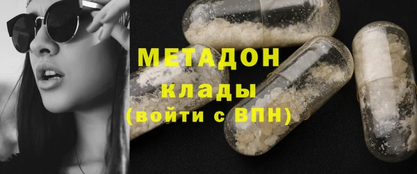 индика Вяземский