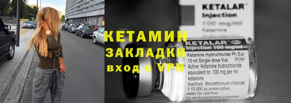 индика Вяземский