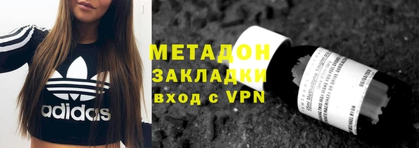 индика Вяземский