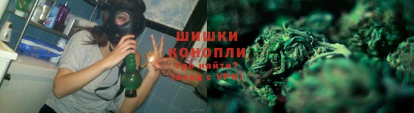 индика Вяземский