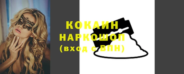 индика Вяземский