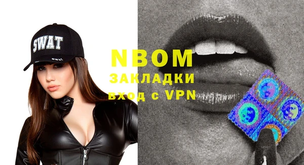индика Вяземский