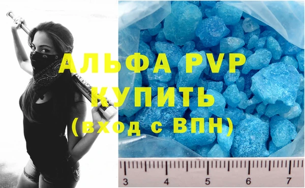 индика Вяземский
