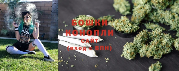 индика Вяземский
