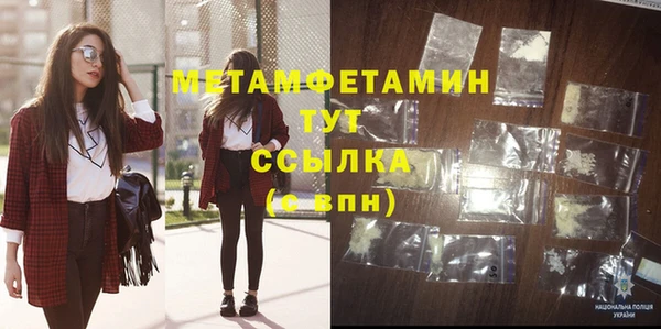 индика Вяземский