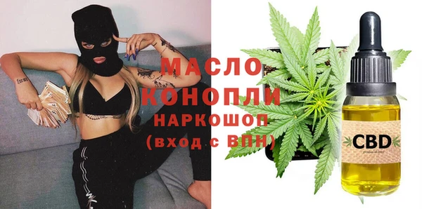 индика Вяземский
