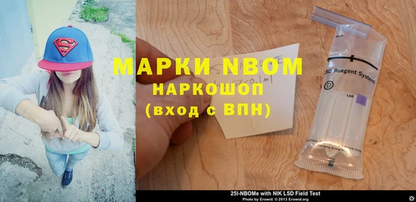 индика Вяземский