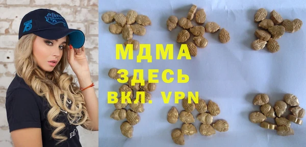 индика Вяземский