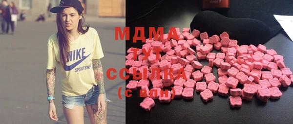 индика Вяземский